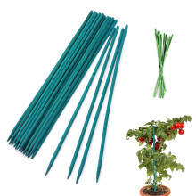 TSKDKIT 30cm Garden Stakes Bamboo Sticks Plant Support Sticks with 50 Pcs Twist Ties, Green Plant Stakes 12 inch Plant Canes Sticks for Garden or Hom
