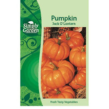 Simply Garden Pumpkin Jack O’Lantern Fresh Fruit Vegetable Seeds for Planting Grow Your Own Garden