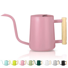Watering Can for Indoor Plants, 35oz Small Stainless Steel Metal Watering Pot With Long Spout, Modern Decorative for House Plant, Bonsai, Garden Flow