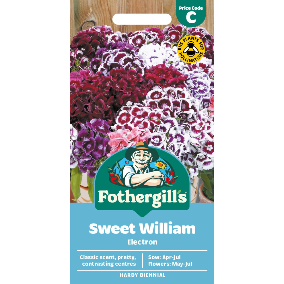 Mr Fothergill's Fothergill's Sweet William Electron Flower Seeds, 200 Seeds, Sow: Apr-Jul, Red/Pink
