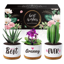 Buioata Gifts for Granny, Gran Birthday Gift -Succulent Planters Best Granny Ever- Gifts for Gran on Her Birthday, Presents for Grandma Nana