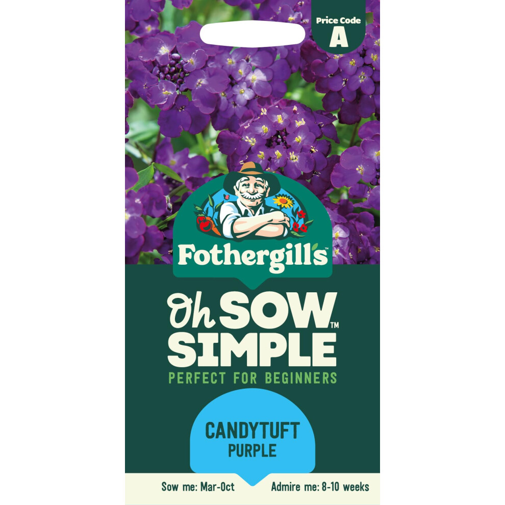 Mr Fothergill's Fothergill's Oh Sow Simple, Candytuft Purple Flower Seeds, Sow: Mar-Oct