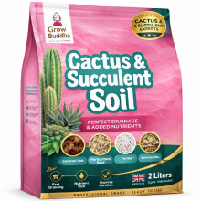 Cactus Succulent Soil Grow Buddha - Natural Cactus and Succulent Indoor Potting
