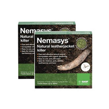 Nemasys Leatherjacket Killer nematode treatment (200 sqm)