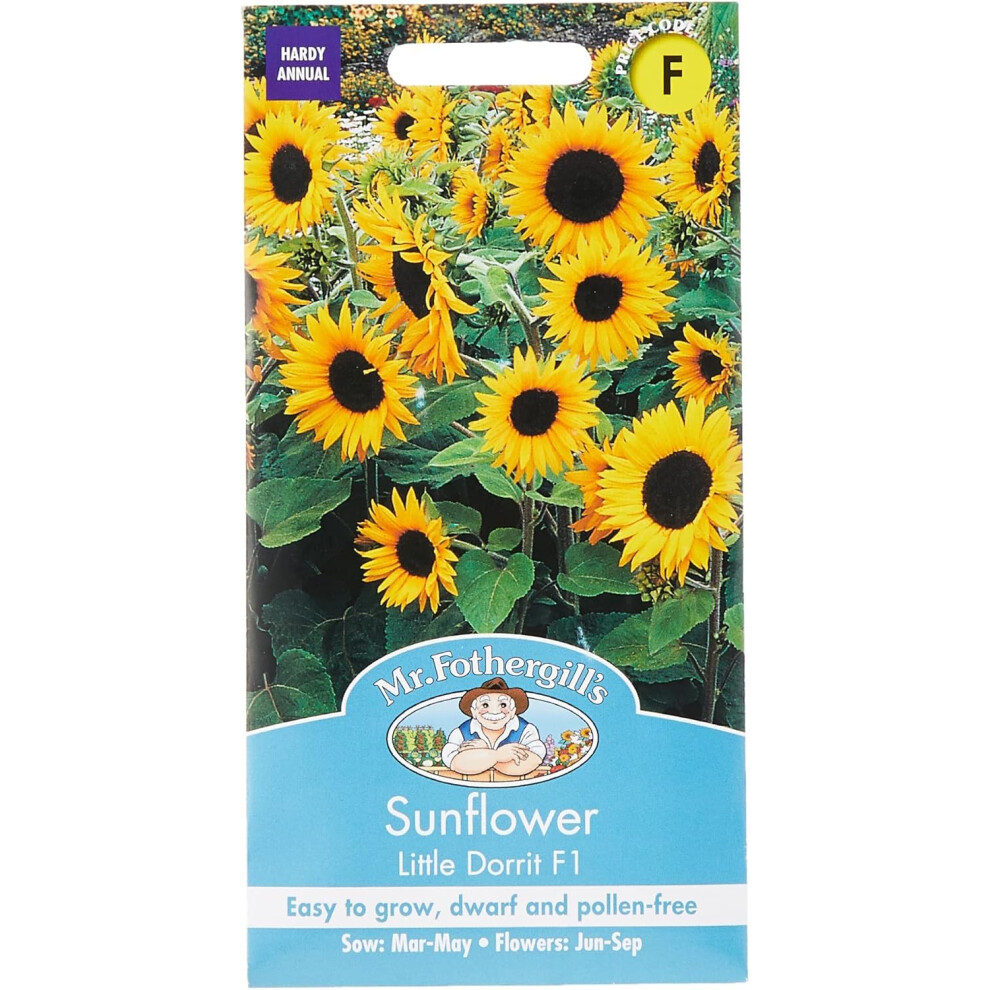 Mr Fothergill's 24272 Flower Seeds, Sunflower Little Dorrit F1, Yellow