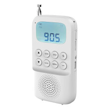 Portable Speaker Radio Receiver, MP3 Player, Headphone Jack, Type-C USB Rechargeable Wireless Speaker A