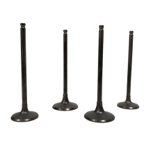 4Pcs Intake & Exhaust Valves Stem for KLX300 KLX300R 12004-1111, 12005-0031, BR250, Z250SL