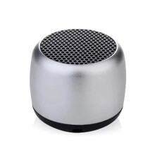 Tragbarer -Lautsprecher, Aktiver -Subwoofer mit 3D-Surround-Sound, Metallgehäuse und Mikrofon für Den Außenbereich B