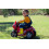 Peg Perego DUCATI MINI EVO (New Livery) 1