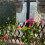 2  Pump Timer System Outdoor Automatic Watering Pump Controller Flowers Plants Home Sprinkler Drip Irrigation Device 4
