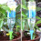 Adjustable Dripper Automatic Watering Kit Automatic Drip Irrigation System Kit Plant Watering Device 6