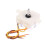 Washing Machine Accessories, Semi-Automatic Washing Machine Timer for , Washing Control for , Timer 4