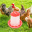 Balde Automático de 6 Kg para Alimentação de Galos, Galinhas, Aves, Codornas e Pombos. 6