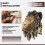 1Pcs Animal  Wall Decor Lion Wall Decor Wall Statue Home Decor  Simulation Statue 4