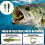 3Pack Multicolor Basses Fishing Soft Realistic Lures With-17cm 6