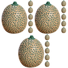 18Pièces Décor Melon Cantaloup Simulé Vert Résine Pour Vitrine