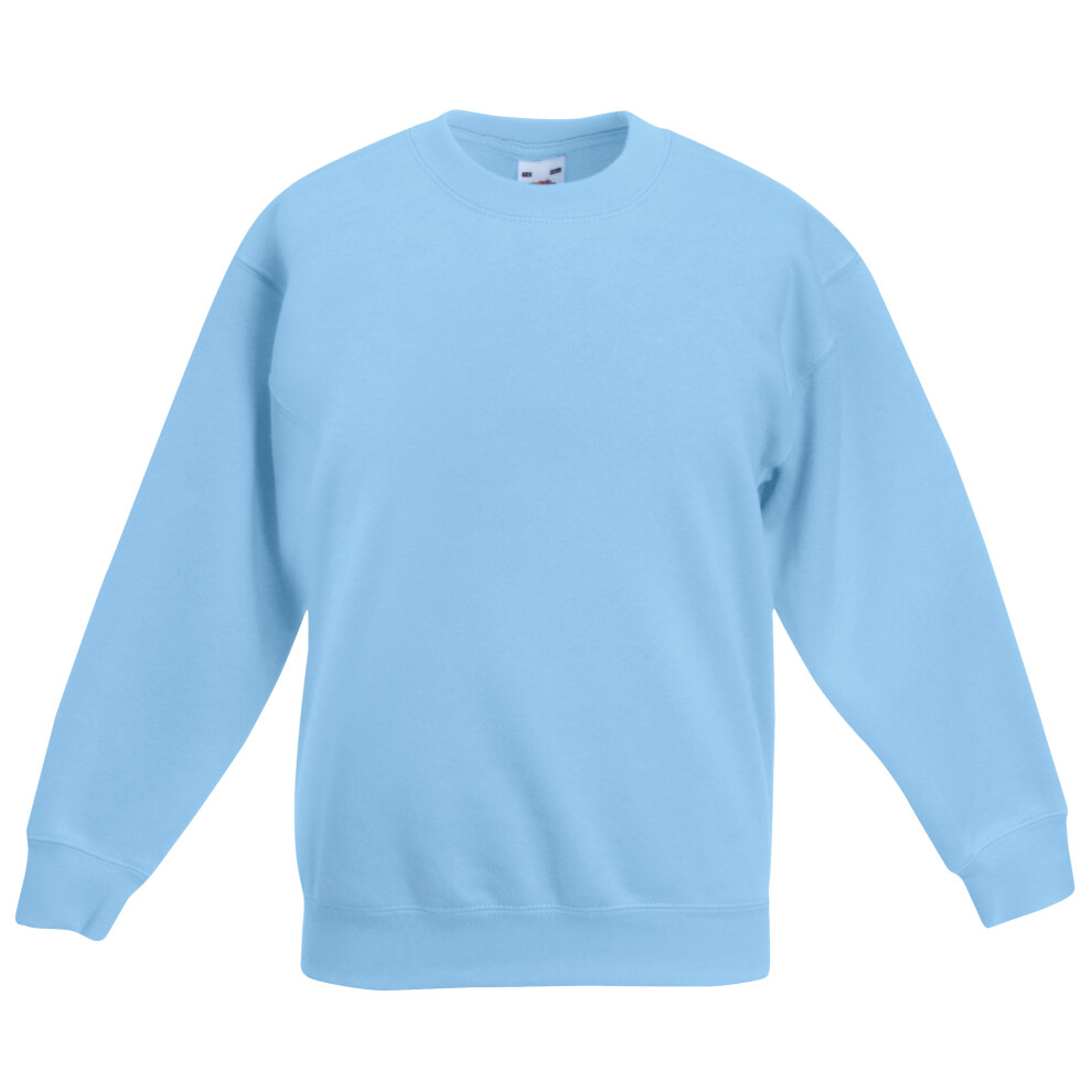Fruit Of The Loom (12-13, Sky ) Kids Unisex Classic 80/20 Set-In Sweatshirt (Pack Of 2) Blue