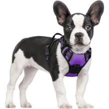 Arnés antitirones morado talla XS para perros pequeños con asa, chaleco reflectante ajustable y transpirable para mayor comodidad.