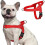 Arnés ajustable antitirones para perros pequeños, fácil de poner, con clip frontal, color rojo. 1