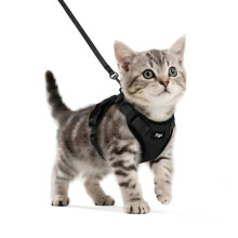 Arnés negro ajustable para gatos, ideal para perros pequeños y gatitos. Chaleco reflectante transpirable. Collar XXS con correa.