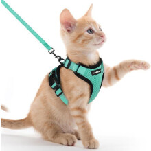 Arnés antiescape para gatos con correa, color verde, talla XXS. Arnés ajustable para gatitos, perros pequeños, conejos y cachorros.