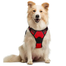 Arnés para perros con asa para cachorros, ideal para paseos y senderismo, material transpirable, color rojo, talla mediana.