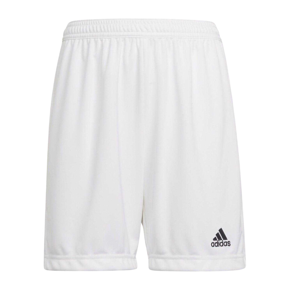 Adidas (11-12 Years, ) Childrens/Kids Entrada 22 Shorts White