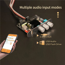 Module Amplificateur Audio Mono BT 100 W CC 12-24 V T1001P Compatible avec le Contrôle par Application, Puce D'Amplification TPA3116, Compatible TWS