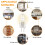 5 X G4 20W 12V Clear Halogen Capsule Lamp Light Bulbs 2
