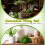 4Pièces Boules De Mousse Artificielle Vert Pour Maison Jardin 4