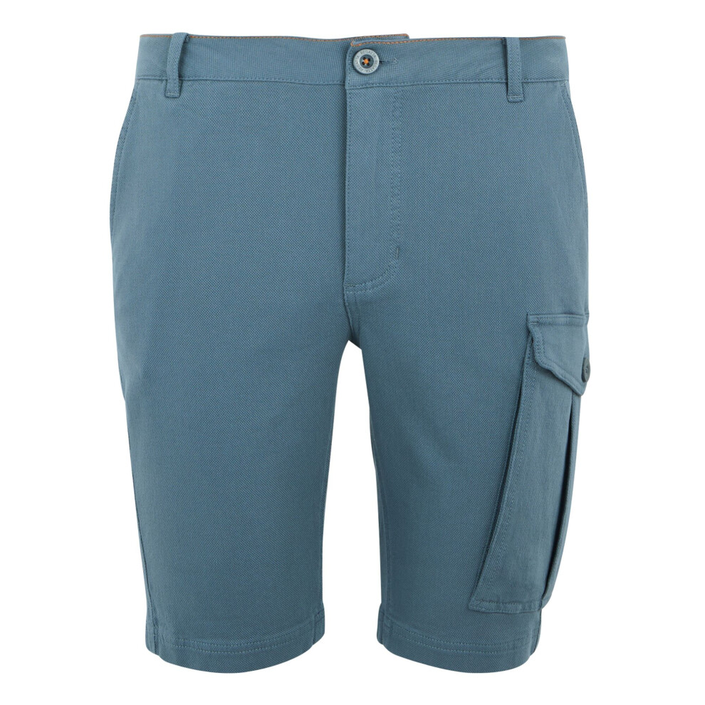 Regatta (38R, Stormy Weather) Mens Bendrick Shorts Multicoloured