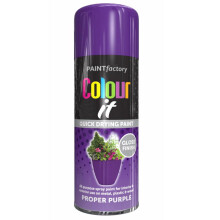Purple Gloss Interior Exterior Spray Paint 250ml