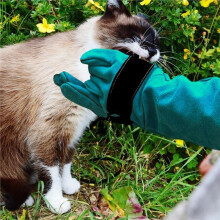 Beschermende Leren Handschoenen voor Huisdieren - Bijt-, Snij- en Doornbestendige Handschoenen