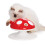 Catit Catit Senses 2.0 Silk, 43142 1