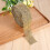 10 Yard Sparkling Mesh Ribbon for Candles 4