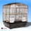 BIRD CAGE BLACK LAZAIZA BUDGIE CANARY 1