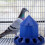 Chicken Feeder Automatic  Feeding Bucket with Handle Rope for Farm Birds 2