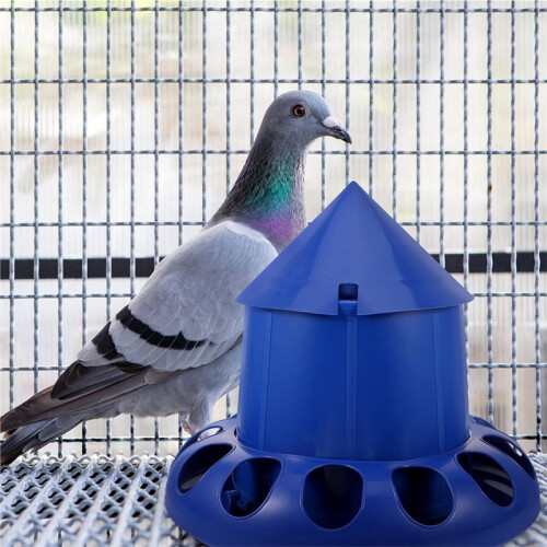 Chicken Feeder Automatic  Feeding Bucket with Handle Rope for Farm Birds 1