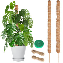 Joaercs Moss Pole for Monstera, 80CM, 2 Pcs Sticks, Plant Supports for Indoor Plants, for Climbing Vines, Pothos, Potted, Comes with Velcro Tape and