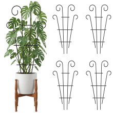 Thealyn 4 Pack Small Plant Trellis for Potted Plants, 60 x 36 cm Metal Trellis for Indoor Plants, Climbing Plant Support for Monstera, Ivy, Hoya and