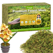 Legigo 600g Premium Sphagnum Moss for Plants, 25L Natural Green Terrarium Moss, Dried Orchid Moss Potting Mix, Soft Live Moss Soil for Succulents Ind