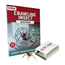 ENTOEND Crawling Insect Glue Traps | Pack of 30 | Sticky Indoor Spider Catcher | Easy to Use Adhesive Paper Trap to Catch Spiders, Bedbugs, Carpet Be