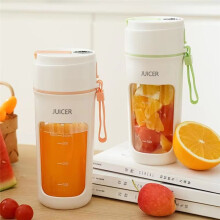 Presse-Agrumes Électrique Portable, Mixeur Multifonction, Extracteur de Fruits, Mixeur à Smoothies, 6 Lames, 1200 MAh, Rose