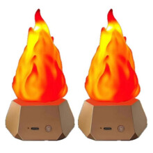2 Lampes LED à Effet Flamme, Idéales pour le Camping, le Jardin, la Décoration de Table à Manger