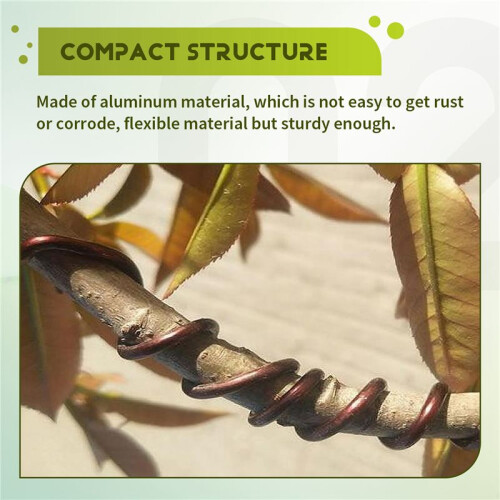 5 Roll Tree Training Bonsai Wire Cutter Anodized Aluminum Wire for Holding Bonsai Branches Small Trunks (Brown) 2