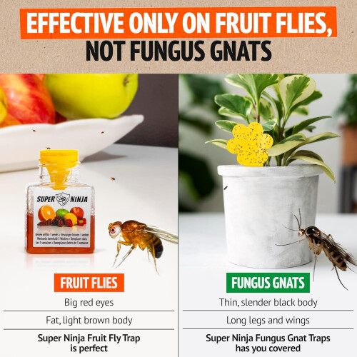 Super Ninja Fruit Fly Trap - 2 pack, Highly Effective Fruit Fly Killer for Home 1