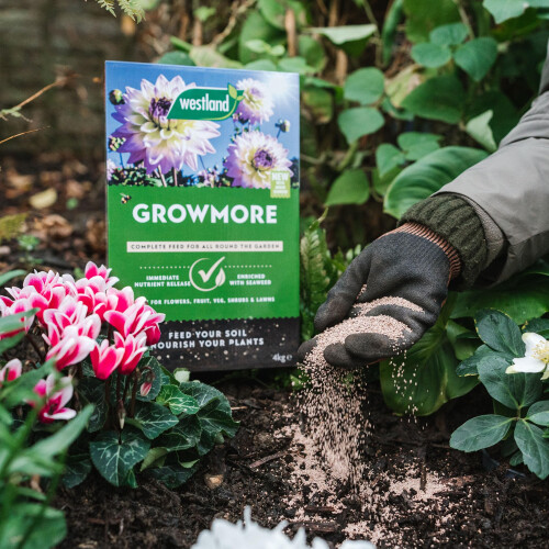 Westland Westland Growmore 4Kg 2