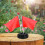 6Pcs Plastic Mini Flag Stand for Office Party and Decoration 8