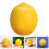 32Pcs Miniature Resin Lemons Yellow Artificial Fruit Models for Scenes 9
