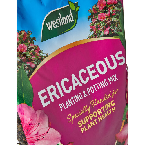Westland Westland 11400006 Ericaceous Compost, Pink 1